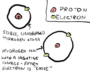 Hydrogen atom & ion >